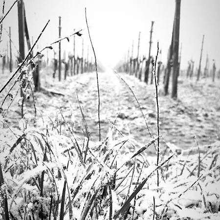 Bed and breakfast La Casa Sui Tetti