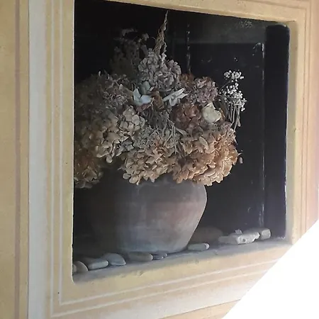 Bed and Breakfast La Casa Sui Tetti
